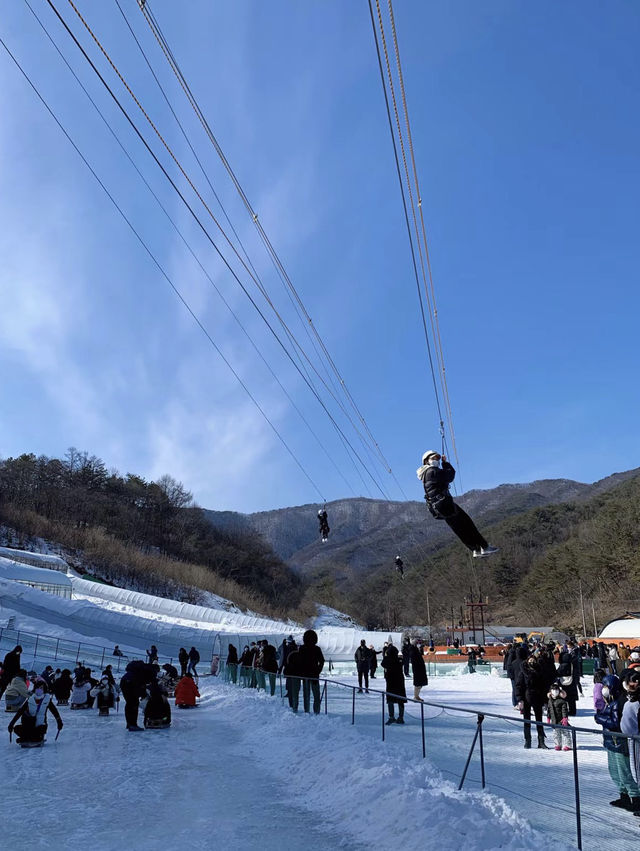 ⛄️冬季限定｜現實版冰雪奇緣❄️