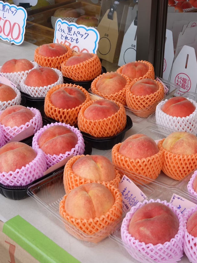 【福島】秋の味覚を堪能🍇果物王国の魅力