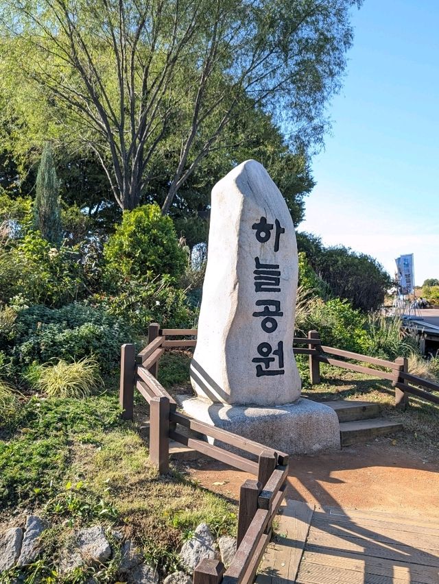 秋のソウル🍁ハヌル公園　ススキフェスティバル