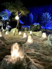【栃木×湯西川】  雪化粧した茅葺き屋根の古民家とかまくら