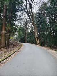 富士遙拜所，可以同時拍到鳥居及富士山