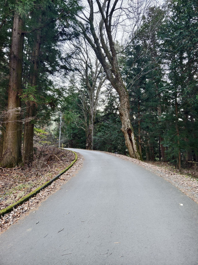 富士遙拜所，可以同時拍到鳥居及富士山