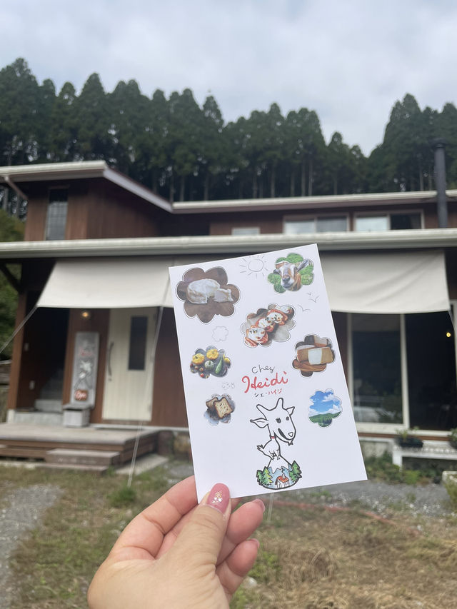 【佐賀グルメ】美味しいチーズ料理が食べれるよ