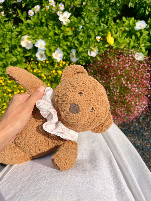 ชวนแฟนไปเดทที่คาเฟ่ในสวนดอกไม้กัน 🌸