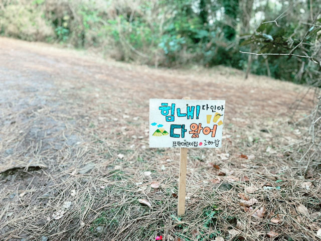 👍👍 이곳은 강력 추천!!