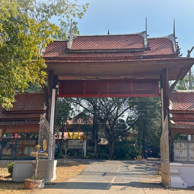⛩ มาทำบุญ ถ่ายรูปความสวยงามที่ วัดม่วง