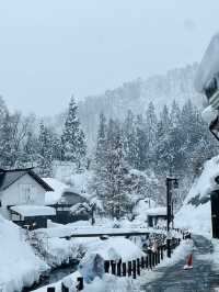 Yamadara & Ginzan Onsen