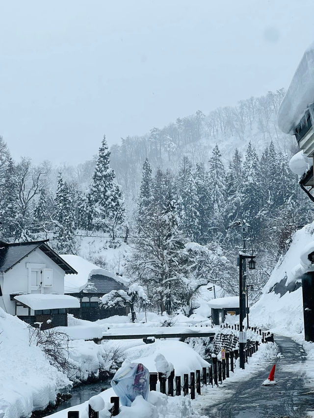 Yamadara & Ginzan Onsen