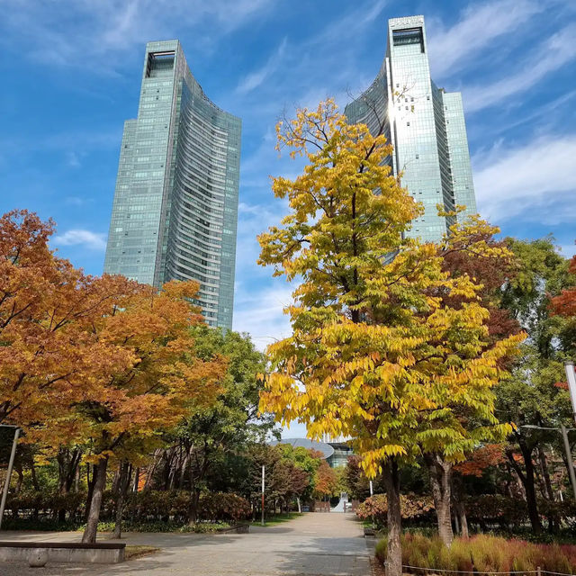 ソウルの森公園