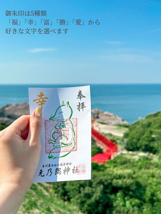 【海に臨む123基の赤い鳥居⛩️】お賽銭入るかなチャレンジも楽しめる絶景神社
