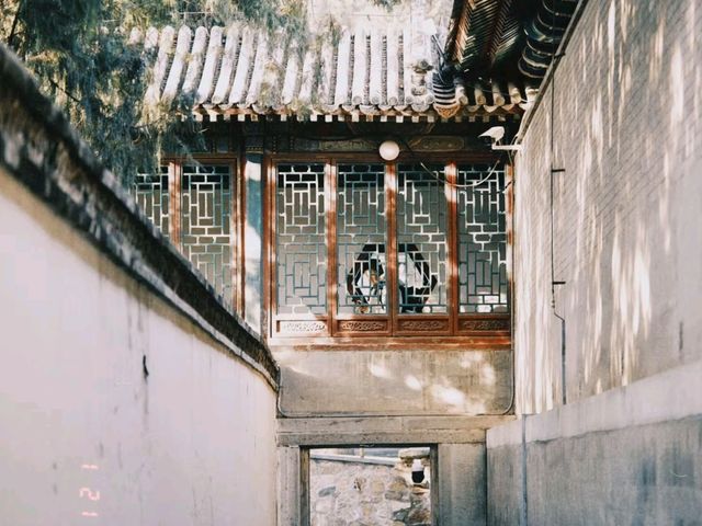 上海庭園：古典美景與現代打卡的完美融合，捕捉每一瞬間的靜謐與魅力！📸🌸🏯