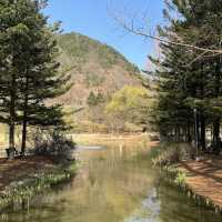안동 산책하기 좋은 곳 추천 ▪️낙강물길공원