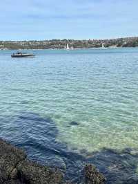 Popular beach in Sydney