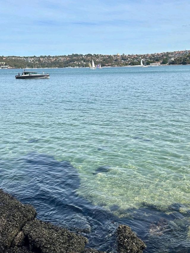 Popular beach in Sydney