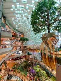 The ring chongguang 