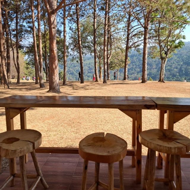 กาแฟ...พบรัก ภูหินร่องกล้า