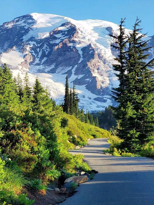 Where Summer Meets Snow – My Journey to Mount Rainier in August