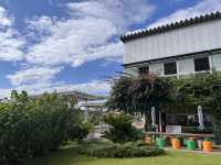 道の駅 保田小学校
