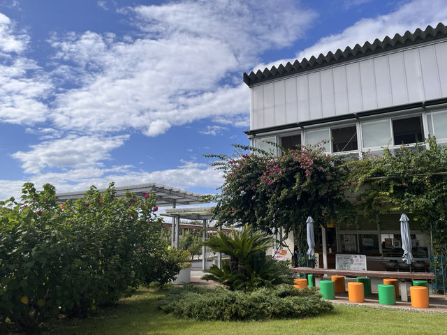 道の駅 保田小学校