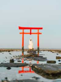 【佐賀】ここ知ってますか？海に浮かぶ幻想的な海中鳥居⛩🌊 