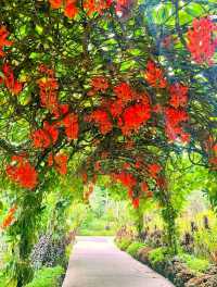 National Orchid Garden