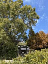 【熊本観光】切り絵の御朱印が可愛い🐇見晴らしのいい神社⛩
