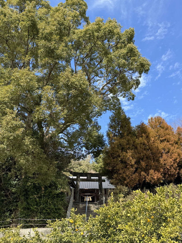 【熊本観光】切り絵の御朱印が可愛い🐇見晴らしのいい神社⛩
