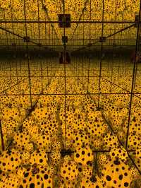 The Yayoi Kusama Experience in NGV