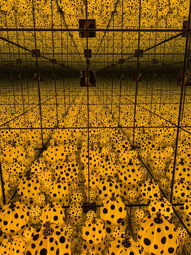 The Yayoi Kusama Experience in NGV