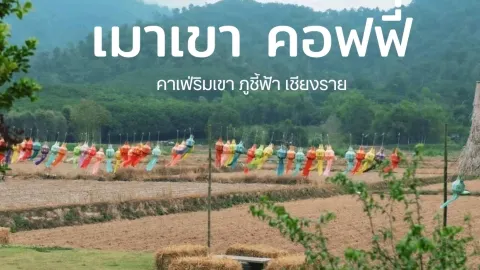 เมาเขา คอฟฟี่ เชียงราย  ⛰️ — traveler post in อำเภอ เทิง