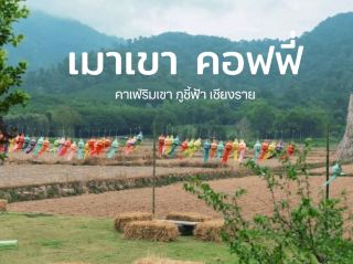 Mao Khao Coffee Chiang Rai ⛰️