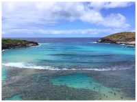 【ハワイ/ホノルル】ハワイの絶景シュノーケリングポイント‼︎＊ハナウマ湾（Hanauma Bay）＊