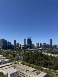 Kings Park Adventure: Nature, Views & Culture
