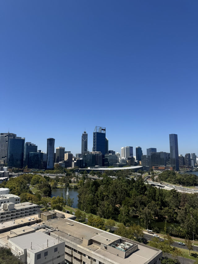 Kings Park Adventure: Nature, Views & Culture