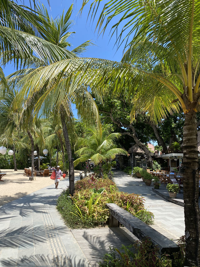 A Day At Sindhu Beach, Sanur