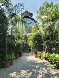 Isola Bella: The Jewel of Lake Maggiore