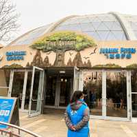 รีวิวโซน Jurassic World- Universal Beijing