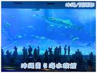 【沖縄/】超巨大ジンベイザメに会える‼︎＊沖縄美ら海水族館＊