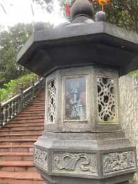 碧山巖櫻花步道賞櫻美景