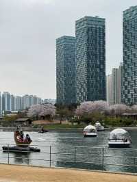 🌉 Songdo Sky Park – A Scenic Escape Above Busan 🌊
