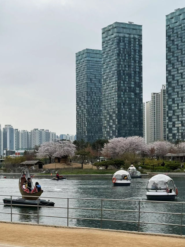 🌉 Songdo Sky Park – A Scenic Escape Above Busan 🌊