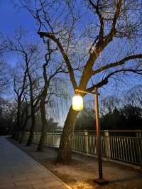 Frozen beauty at Summer Palace