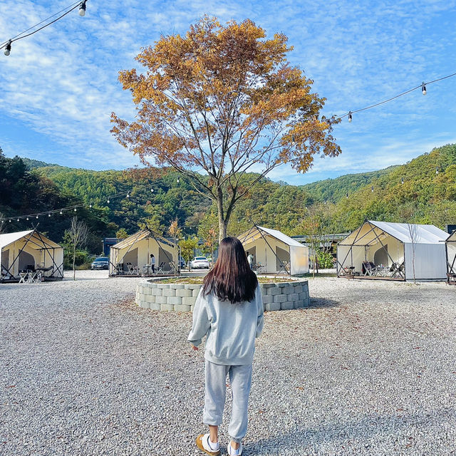 경기도 포천 감성 글램핑장 추천 <호랑이캠핑> 🐯