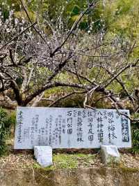 徳島県南部の梅の名所