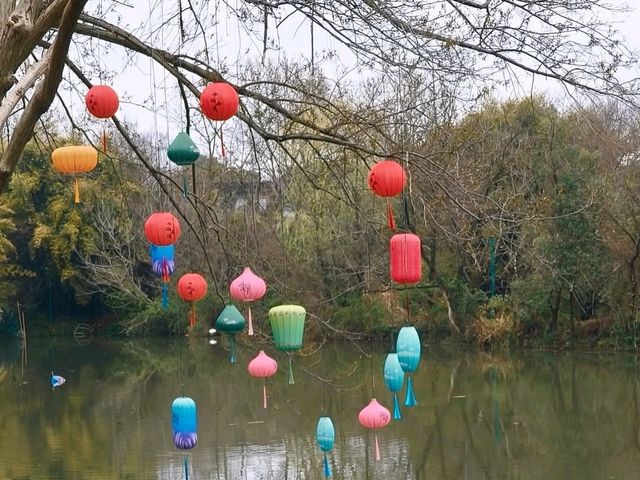 西溪濕地，搭搖櫓船體驗靜謐的濕地生態風光