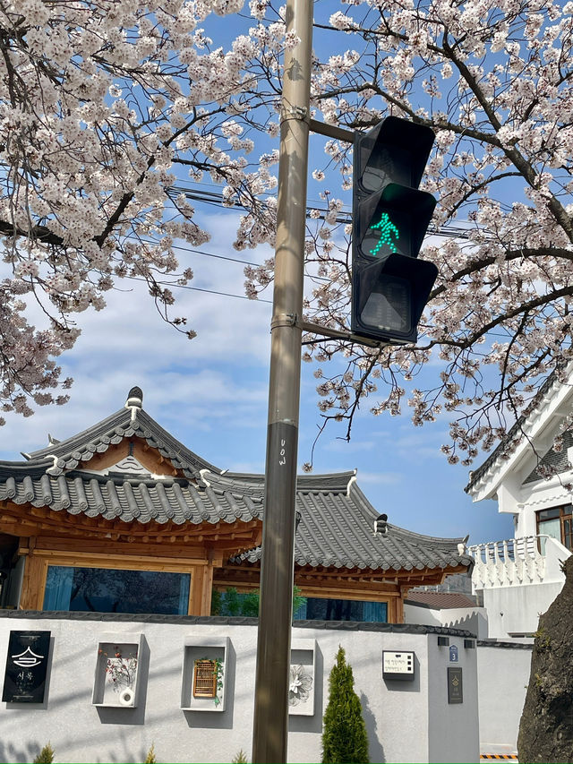 경부 봄여행 코스 공유해요 🌸🌸