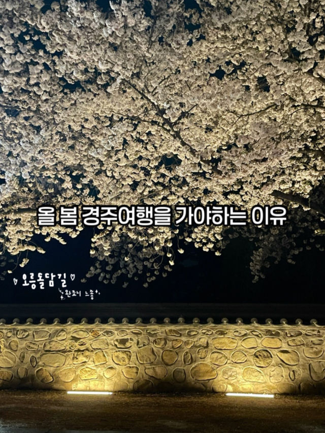 올 봄 경주로 떠나야하는 이유(경주벚꽃여행코스)
