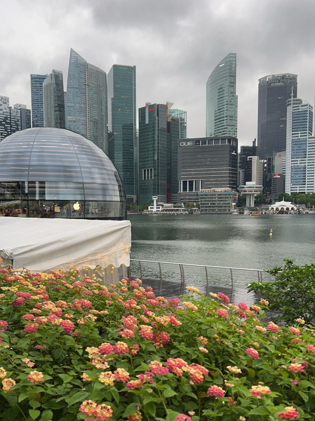 Marina Bay Wonders: A Stroll from MBS to Merlion Park