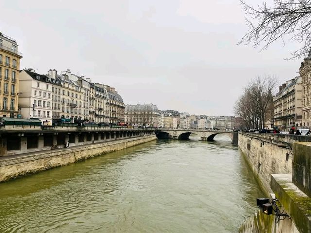 "Seine Dreams: The Heart of Paris from the Water"