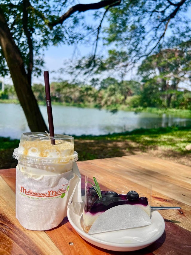 คาเฟ่สุดฮิต จังหวัดกาญจนบุรี